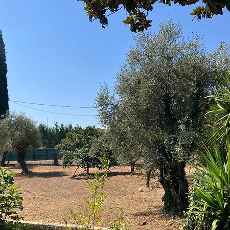 Villa Thyziri Roquefort-les-Pins Esterno foto