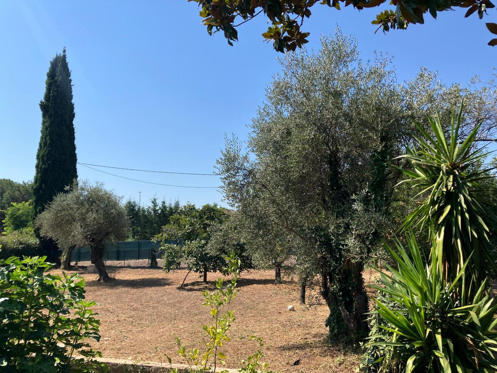Villa Thyziri Roquefort-les-Pins Esterno foto